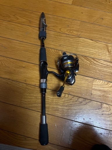 別々で購入可　釣り　ダイワ　クロスビートsw＆レブロス2000