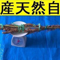 名水の里！黒部産 天然自然薯1本で ≒570ｇの画像
