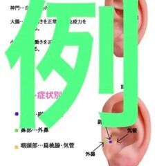 耳つぼジュエリープロ通信講座の画像