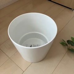 IKEA人工観葉植物　フェイカ　ベンジャミンの画像