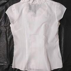 トップスの画像