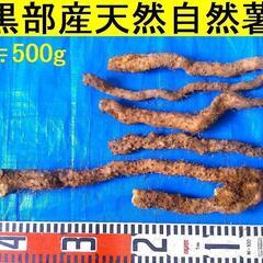 名水の里！黒部産 天然自然薯6本で ≒500ｇ