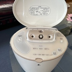 Panasonic EH SA91 スチーマーナノケア