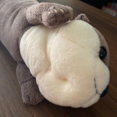 かわうその画像