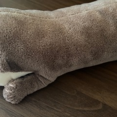 かわうその画像