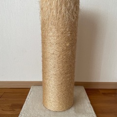 爪研ぎの画像