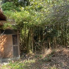 山口県山陽小野田ボロ家付き、土地992ｍ2/279坪が何と！30万円！！ - 不動産