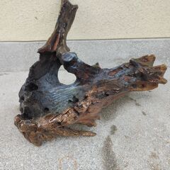 流木 47cm ×40の画像