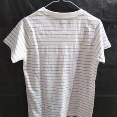 CONVERSE Tシャツの画像