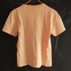 Tシャツの画像