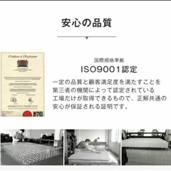 ボンネルコイルスプリングマットレス(数ヶ月のみの使用なのでとてもキレイな状態)の画像