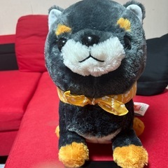 ワンチャン