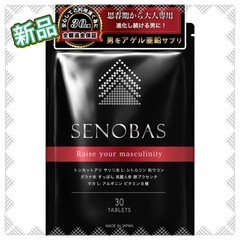 思春期から大人のサプリメント 亜鉛 シトルリン アルギニン プラ...