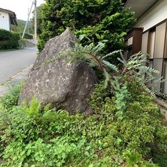 石と木
