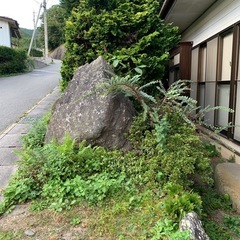 石と木の画像