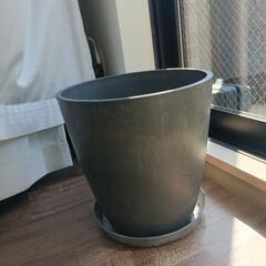 高級感ある大きい鉢