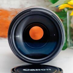 【全国送料無料】【美品！】 Canon EF 75-300㎜ F4-5.6 Ⅲ✨超望遠レンズ  運動会でも大活躍♪（運転が不慣れな為、お近くまで来ていただけますと助かります）キャノン キヤノン イベント 旅行の画像