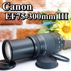 【全国送料無料】【美品！】 Canon EF 75-300㎜ F...