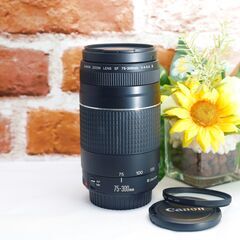【全国送料無料】【美品！】 Canon EF 75-300㎜ F4-5.6 Ⅲ✨超望遠レンズ  運動会でも大活躍♪（運転が不慣れな為、お近くまで来ていただけますと助かります）キャノン キヤノン イベント 旅行の画像