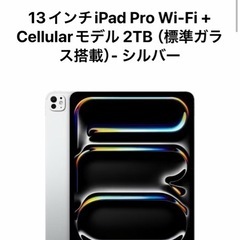 Apple iPadpro13インチ　2tb