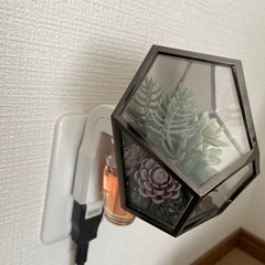 コンセントディフューザー　アメリカンインテリアの画像