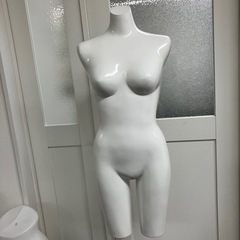 女性上半身トルソ