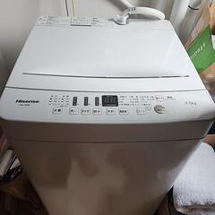 ハイセンス 洗濯機 5.5kg 
