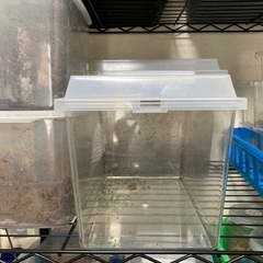 【おまけ】使用済み　菌糸瓶　　飼育ケース等の画像