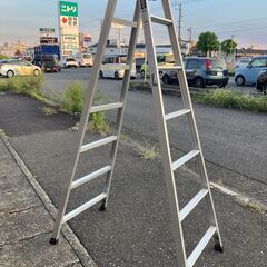 中古　美品　ハセガワ　7尺　 はしご兼用脚立 7段　脚立　愛知県...