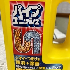 パイプユニッシュ【800ml1本】とアリムカデ粉剤1本の画像