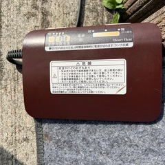 電気カーペットの画像