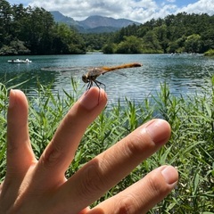 近隣の低山ハイク(ハイキング)一緒にいかがですか？ - 友達