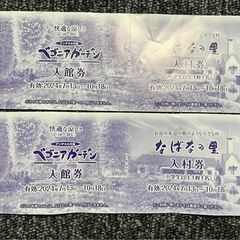 値下げしました！なばなの里入村券　ベゴニアガーデン入館券各2枚