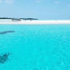 １０月１２日１３日与論島で遊べる方居ませんか？？