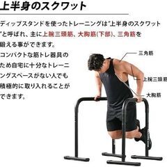 自重トレーニングができるディップスタンド2本セットの画像
