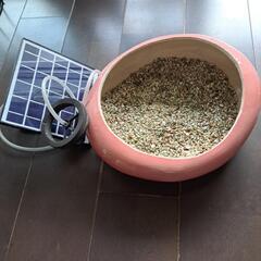 メダカを飼っていた鉢とソーラーブクブク貰って下さい。