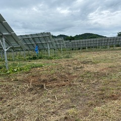 いわき草刈り　10/3 .4    草刈り作業できる方の画像