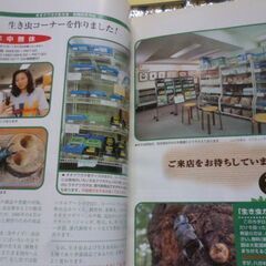 むし社のカタログ　1998年～2000年の画像