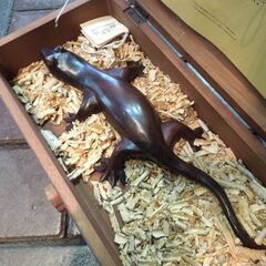 GECKO SPIRIT バリ島 オブジェ 置物 トカゲの模型 動作未確認 木箱付き 札幌市東区 新道東店の画像