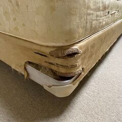 セミダブルベッド2台（1台でも可）の画像