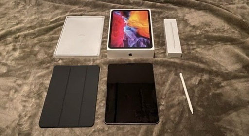 Pro 11-inch (第2世代) 256GB Wi-Fi モデル