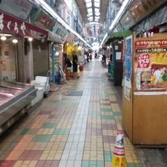 ♬中川沿いをみんなでお散歩😀♪　10月26日　13時から14時半頃まで - メンバー募集
