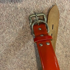 犬用　首輪　大型犬　未使用の画像
