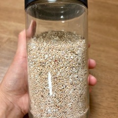 久米島の星の砂