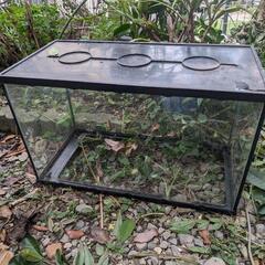 60水槽と蛍光灯セット