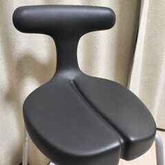ayur-chair アーユルチェアー　スツール SH45（座面の高さ45cm）/ ブラックの画像
