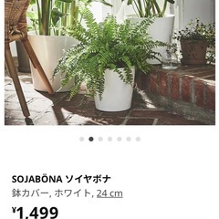 IKEA人工観葉植物　フェイカ　ベンジャミンの画像
