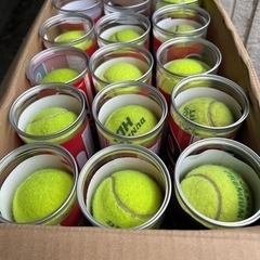 硬式🎾テニスボール決まりました❣️の画像