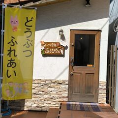 動物たちとのふれあい体験　家族に迎え入れる前に１度実際にさわってみませんか？元動物園飼育スタッフが飼い方などのご相談承ります。　　　　　営業日不定休　　営業時間変動あり - 地元のお店