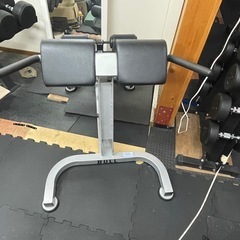 美品 BULL バックエクステンション